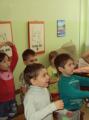 Программа логопедического кружка для детей логопедической подготовительной группы детского сада Тема: домашние птицы